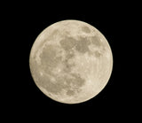 Scorpio Full Moon – May 12, 2025 (13-Moon Calendar Perspective)