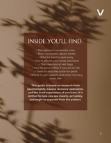 What you will find inside this guide surviving narcissistic men