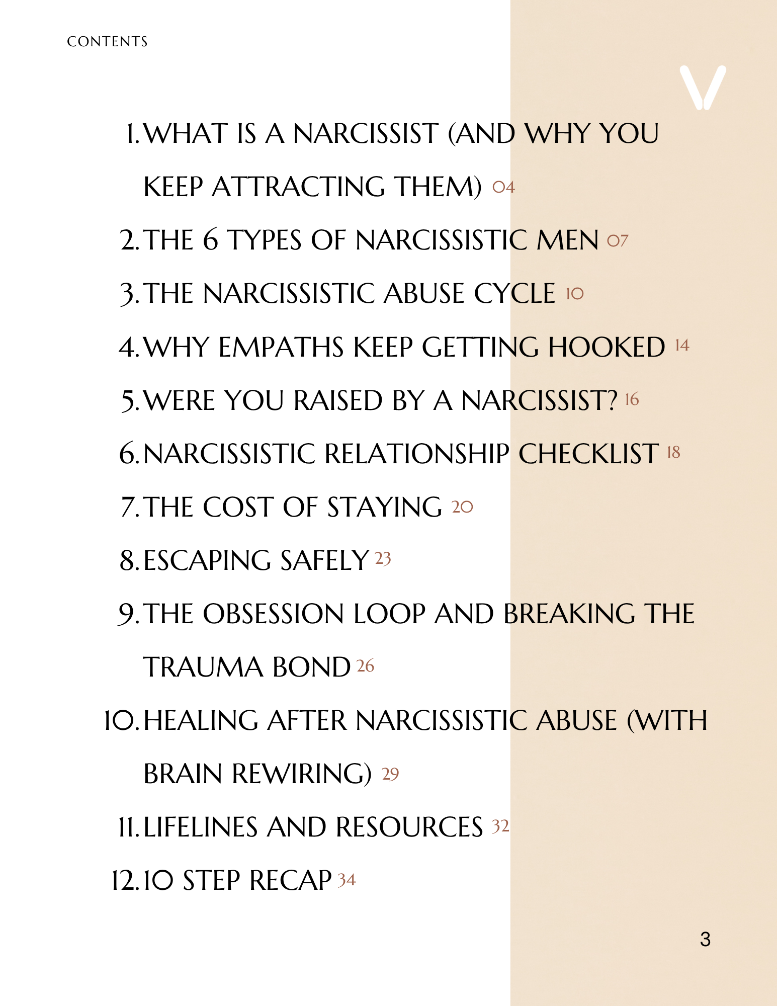 Table of contents for an online guide on narcissistic behavior.
